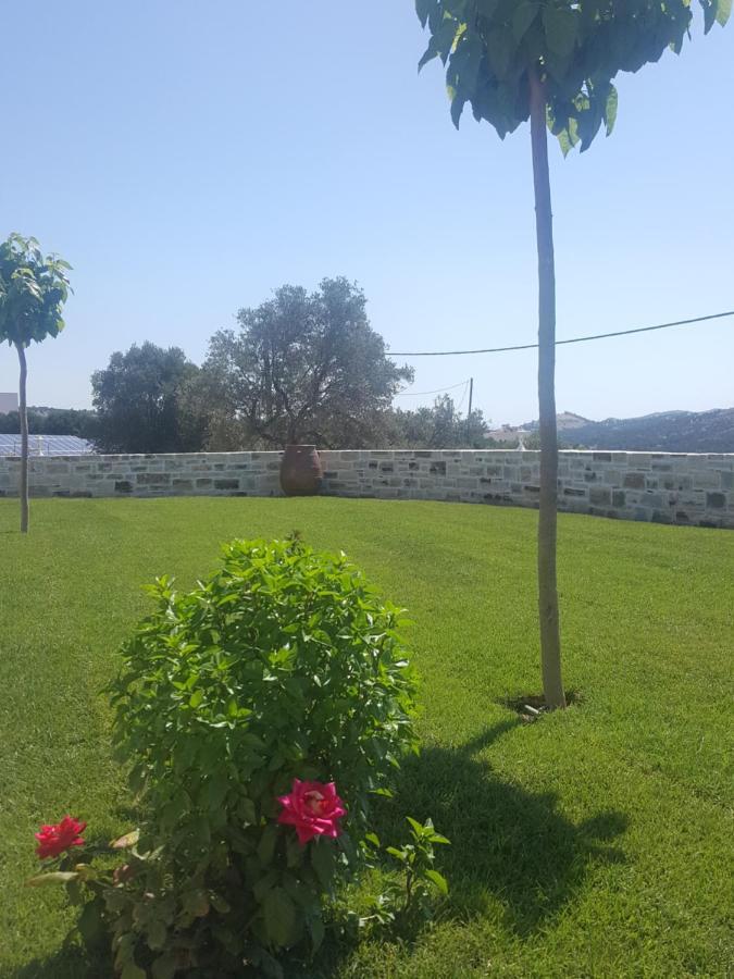 Villa Jodi Pitsidia Esterno foto